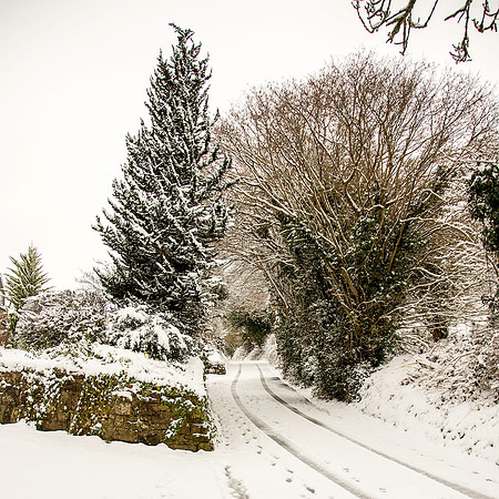 38 - Country Lane in the Snow