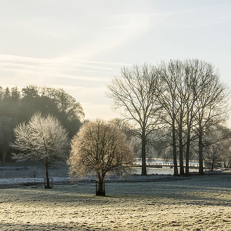 78 - Early Morning at Fonthill Lake