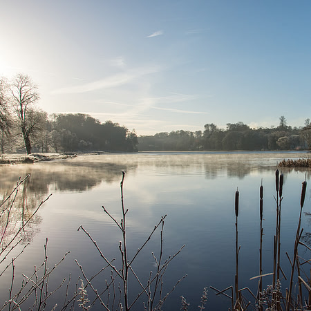 79 - Fonthill Lake in Winter