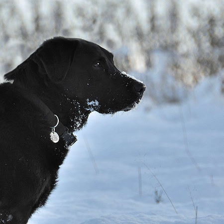 3 - Jess in the Snow