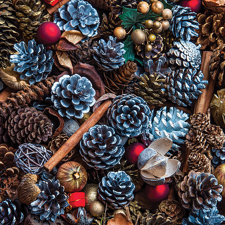 17 - Christmas Pine Cones